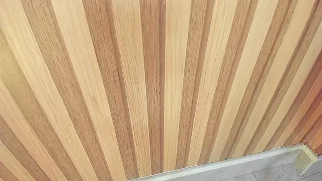 Snapshot of mia__blaze__ chatting on 11-11-25, 03:06 mia blaze online show from 11-11-25, 03:06