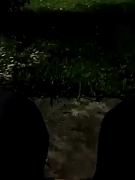 roludao fun online show from 11-11-25, 10:54