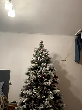 Amelia-Diamond online show from 12-15-25, 10:41