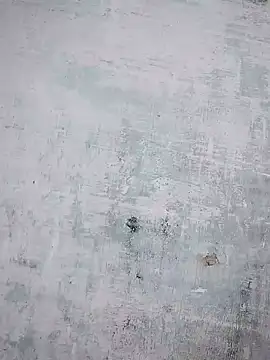 Snapshot of thanuja- chatting on 10-23-25, 10:14 thanuja- online show from 10-23-25, 10:14