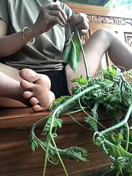 Kylie beem online show from 04-25-26, 08:39