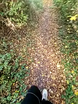 bbyxklaus online show from 11-09-25, 10:57