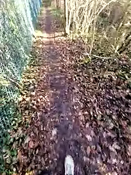 bbyxklaus online show from 12-19-25, 12:34