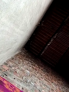 Bear bear0 online show from 12-19-25, 10:17