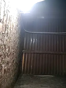 Bear bear0 online show from 01-12-26, 12:38