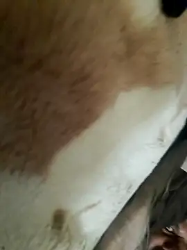 Perfect size online show from 11-20-25, 08:58