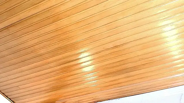 AlexaLaenz online show from 01-05-26, 05:27