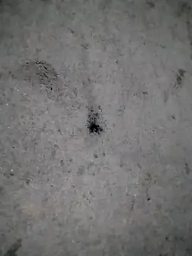 rickkis2k online show from 12-21-25, 11:01