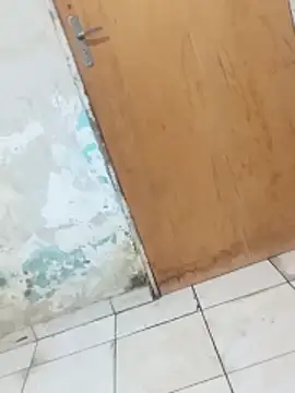  -   gozada online show from 10-28-25, 04:53