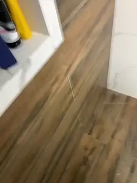 bfelipedasilva online show from 12-21-25, 11:50