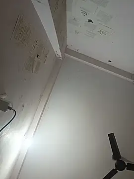 indoregigolo online show from 10-29-25, 03:03