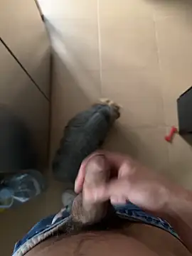 findomhot online show from 02-04-26, 03:51