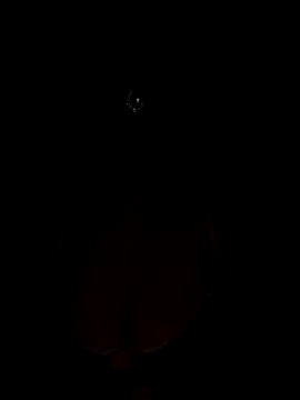 Mampykolkata online show from 11-15-25, 05:42