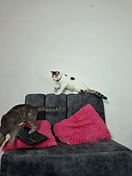 Mia fox29 online show from 11-13-25, 11:20