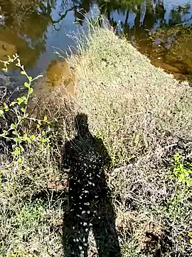 devil boy 0909 online show from 11-07-25, 05:29