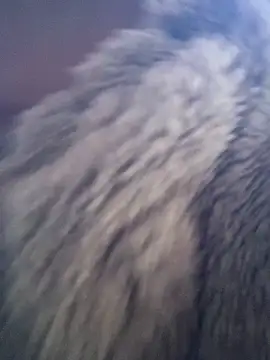 huttonmay358 online show from 11-24-25, 02:33