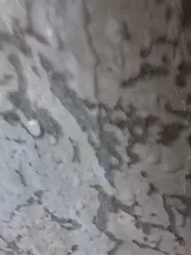 Snapshot of 3zekie1 chatting on 10-28-25, 02:20 3zekie1 online show from 10-28-25, 02:20