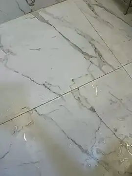 Snapshot of ankitmishra0527 chatting on 11-19-25, 10:54 ankitmishra0527 online show from 11-19-25, 10:54