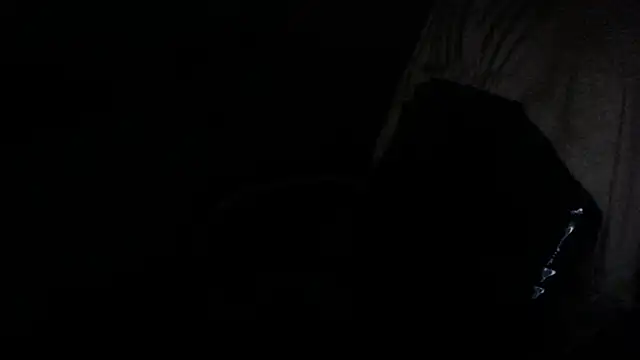 gygyfox online show from 11-21-25, 10:52