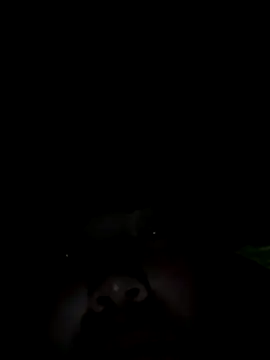 Snapshot of Nul-chal chatting on 01-05-26, 10:24 Nul-chal online show from 01-05-26, 10:24