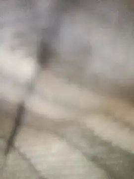 Snapshot of Pallu_Asha chatting on 03-01-26, 04:25 Pallu Asha online show from 03-01-26, 04:25