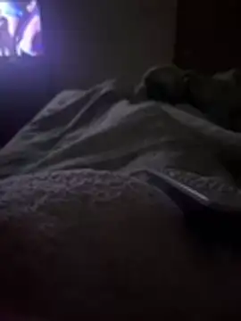 Snapshot of gatitaamelosaa7 chatting on 02-24-26, 02:53 gatitaamelosaa7 online show from 02-24-26, 02:53