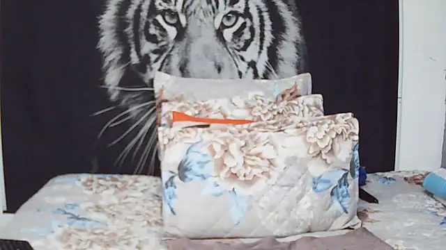 MassiveBoobsxxxx online show from 02-04-26, 07:09