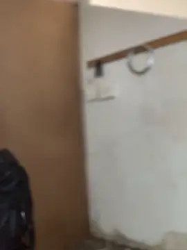 Ndodemnyamaxh online show from 12-20-25, 06:04