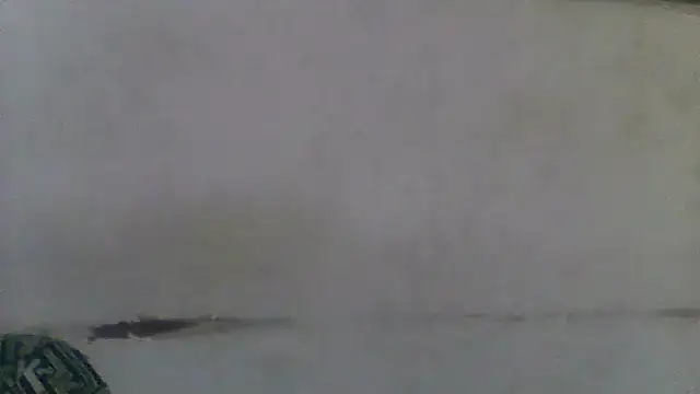 Ndodemnyamaxh online show from 03-02-26, 08:04