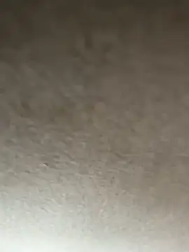 Snapshot of adamblunt59 chatting on 01-08-26, 09:33 adamblunt59 online show from 01-08-26, 09:33