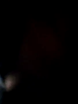 ANIMAA09 online show from 11-29-25, 05:16