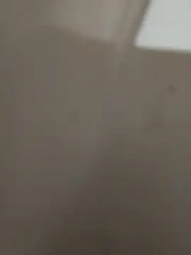 magro248 online show from 11-22-25, 08:30