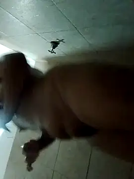 Snapshot of rebelde502 chatting on 11-12-25, 05:41 rebelde502 online show from 11-12-25, 05:41