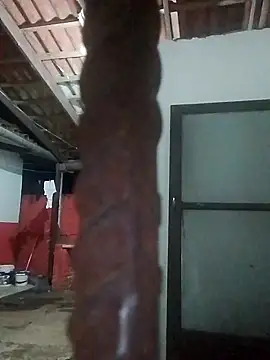 Snapshot of rebelde502 chatting on 11-13-25, 03:49 rebelde502 online show from 11-13-25, 03:49