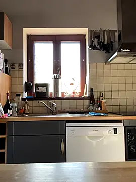 slt29 online show from 11-05-25, 11:54