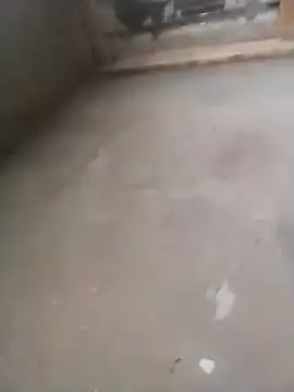 Snapshot of Lollittaxxxx2 chatting on 11-11-25, 10:15 Lollittaxxxx2 online show from 11-11-25, 10:15