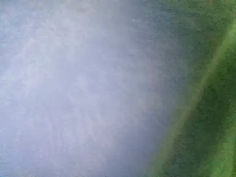 Snapshot of Ramzes1992Analog chatting on 11-05-25, 01:05 Ramzes1992Analog online show from 11-05-25, 01:05