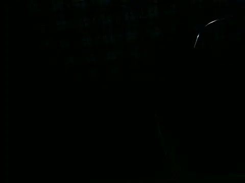 ellsaBunny online show from 11-06-25, 01:28