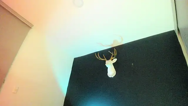 Snapshot of Zeus_Jeff chatting on 02-19-26, 01:34 Zeus Jeff online show from 02-19-26, 01:34