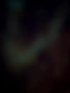 Pagalladka-89 online show from 12-21-25, 10:33