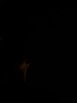 RonnySlim online show from 01-06-26, 03:49