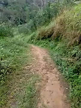 Cloud-wh online show from 03-05-26, 12:39