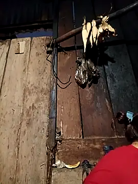 -Chua-90 online show from 02-19-26, 11:12