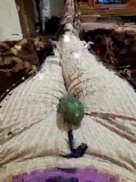 Tota sexi online show from 11-27-25, 10:45