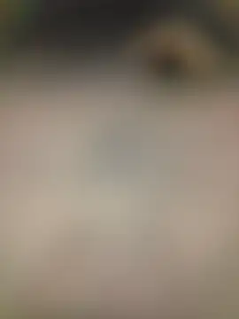 piggylatino online show from 02-02-26, 06:01