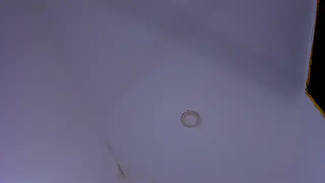 tiven-prince online show from 01-10-26, 07:48