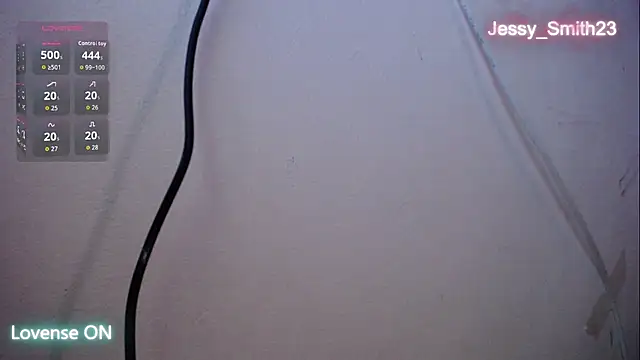 Jessy Smith23 online show from 11-24-25, 09:03