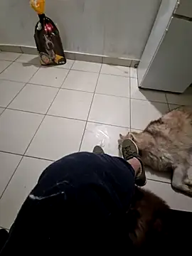 Snapshot of RITAEGIH chatting on 03-02-26, 08:04 RITAEGIH online show from 03-02-26, 08:04