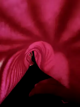 DesiAnita3693 online show from 11-21-25, 03:38