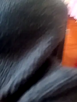 Jeison0323 online show from 02-25-26, 08:29